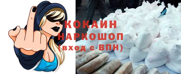 гидра Михайловка