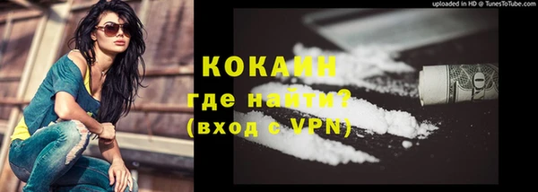гидра Михайловка