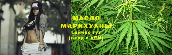 гидра Михайловка