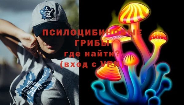 гидра Михайловка