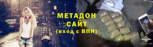 прущие грибы Бердск