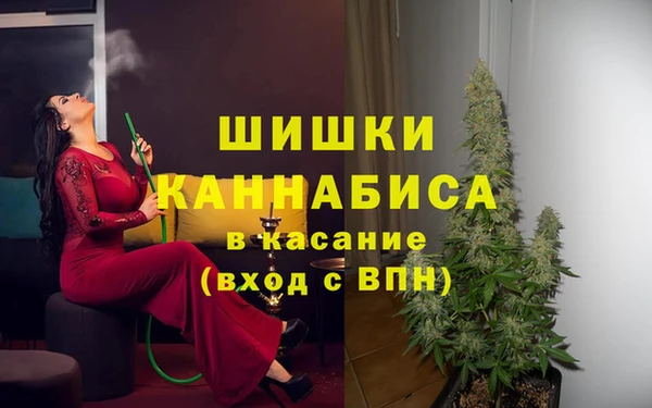 гидра Михайловка