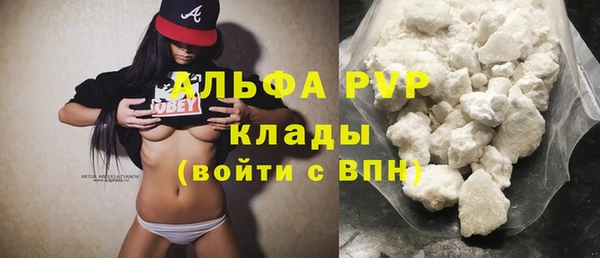 гидра Михайловка